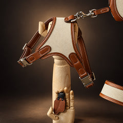 SAGE ÉTOUPE Handcrafted Leather & Woven Dog Harness