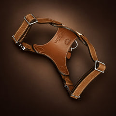 SAGE ÉTOUPE Handcrafted Leather & Woven Dog Harness