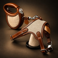 SAGE ÉTOUPE Handcrafted Leather & Woven Dog Harness