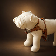 SAGE ÉTOUPE Handcrafted Leather & Woven Dog Harness
