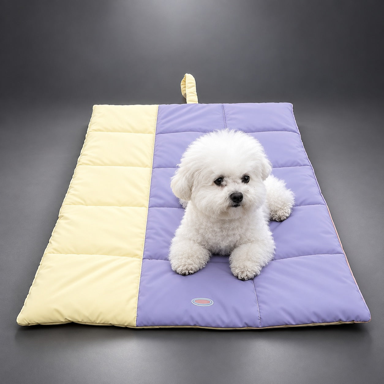 Waterproof Dog Travel Mat