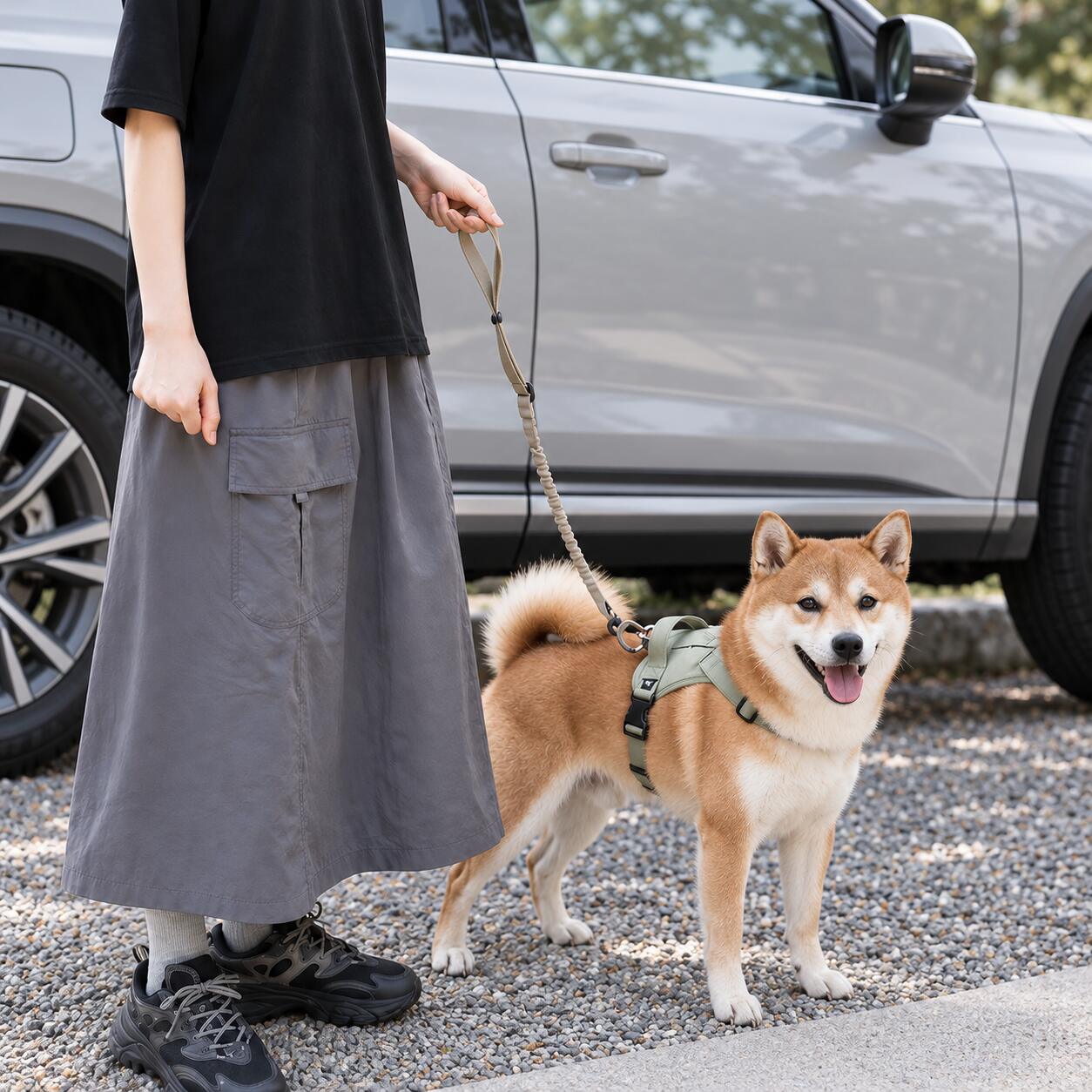 Dog Car Seat Belt