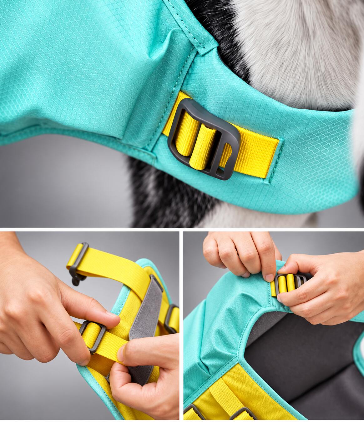 Dog Life Jacket