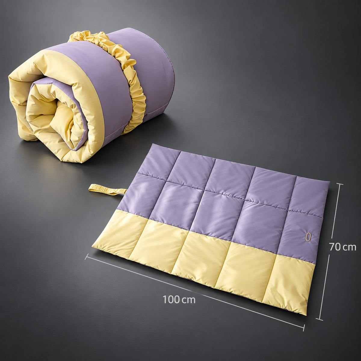 Waterproof Dog Travel Mat