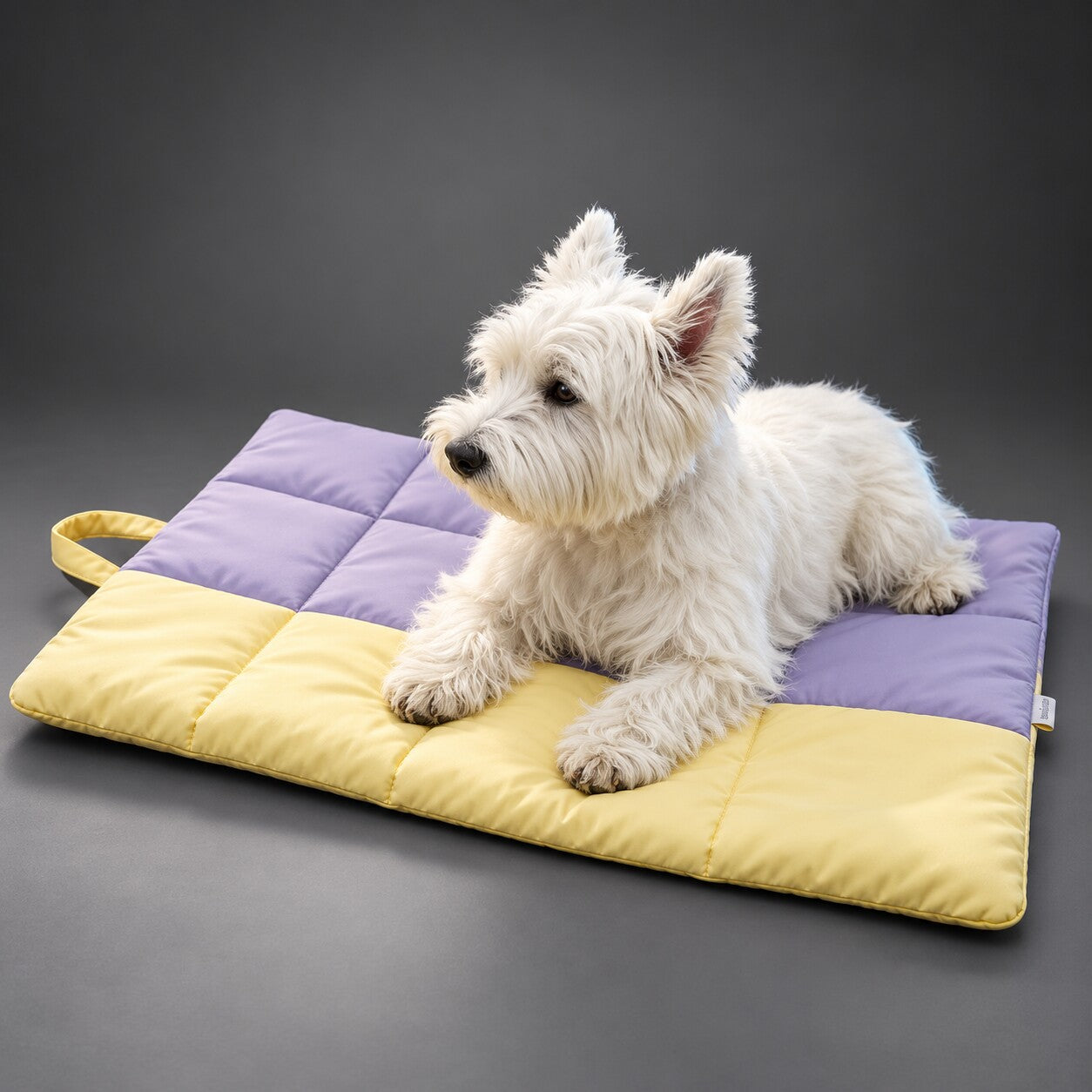 Waterproof Dog Travel Mat