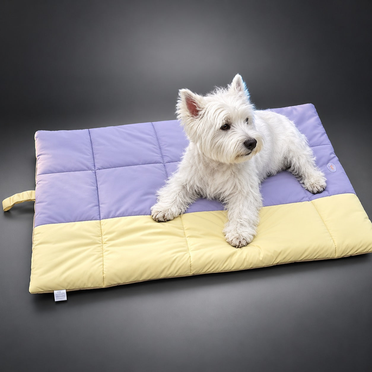Waterproof Dog Travel Mat