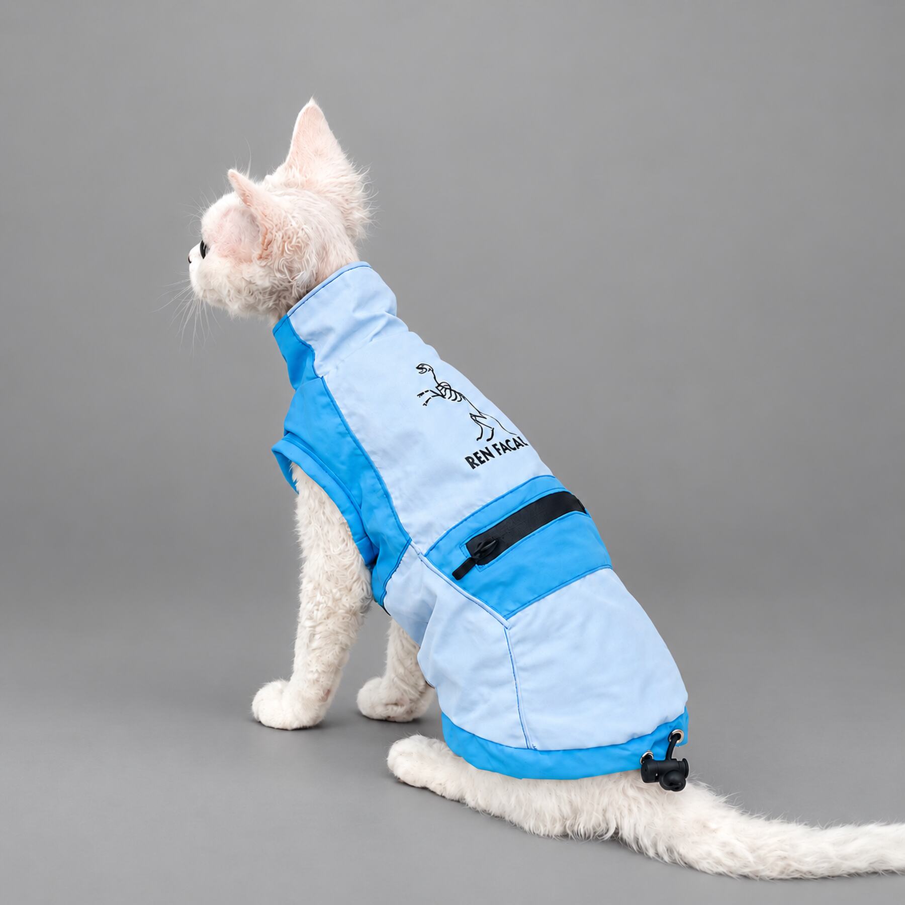 Lightweight Blue Cat Rain Jacket – Outdoor Coat