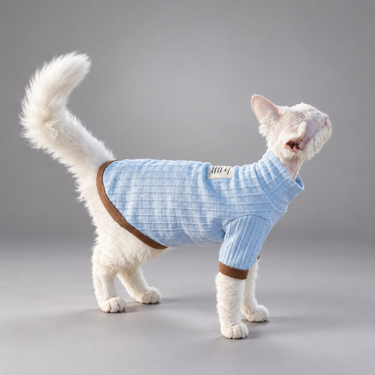Textured Cat Shirt — Mist Blue