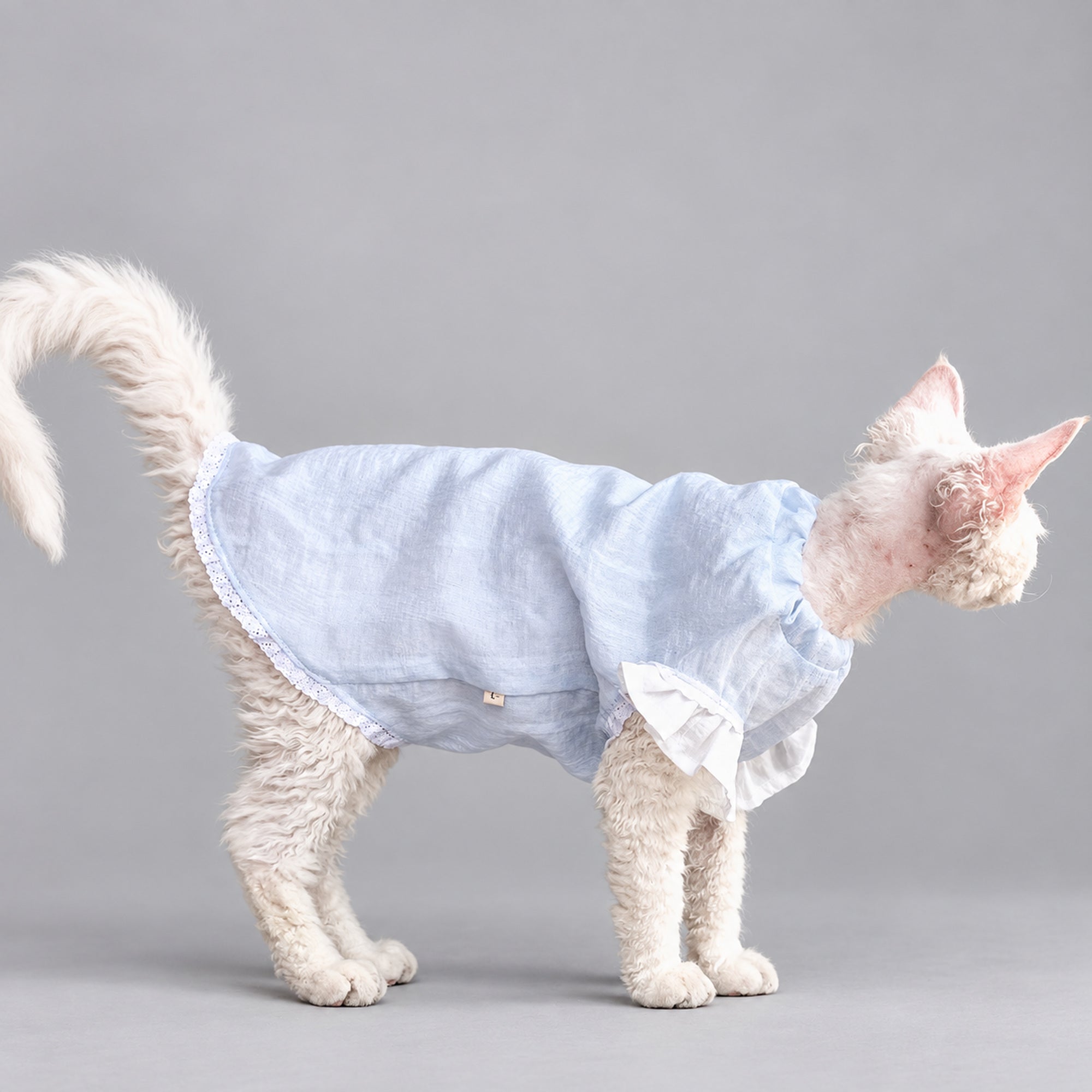 Light Blue Cotton Cat Dress
