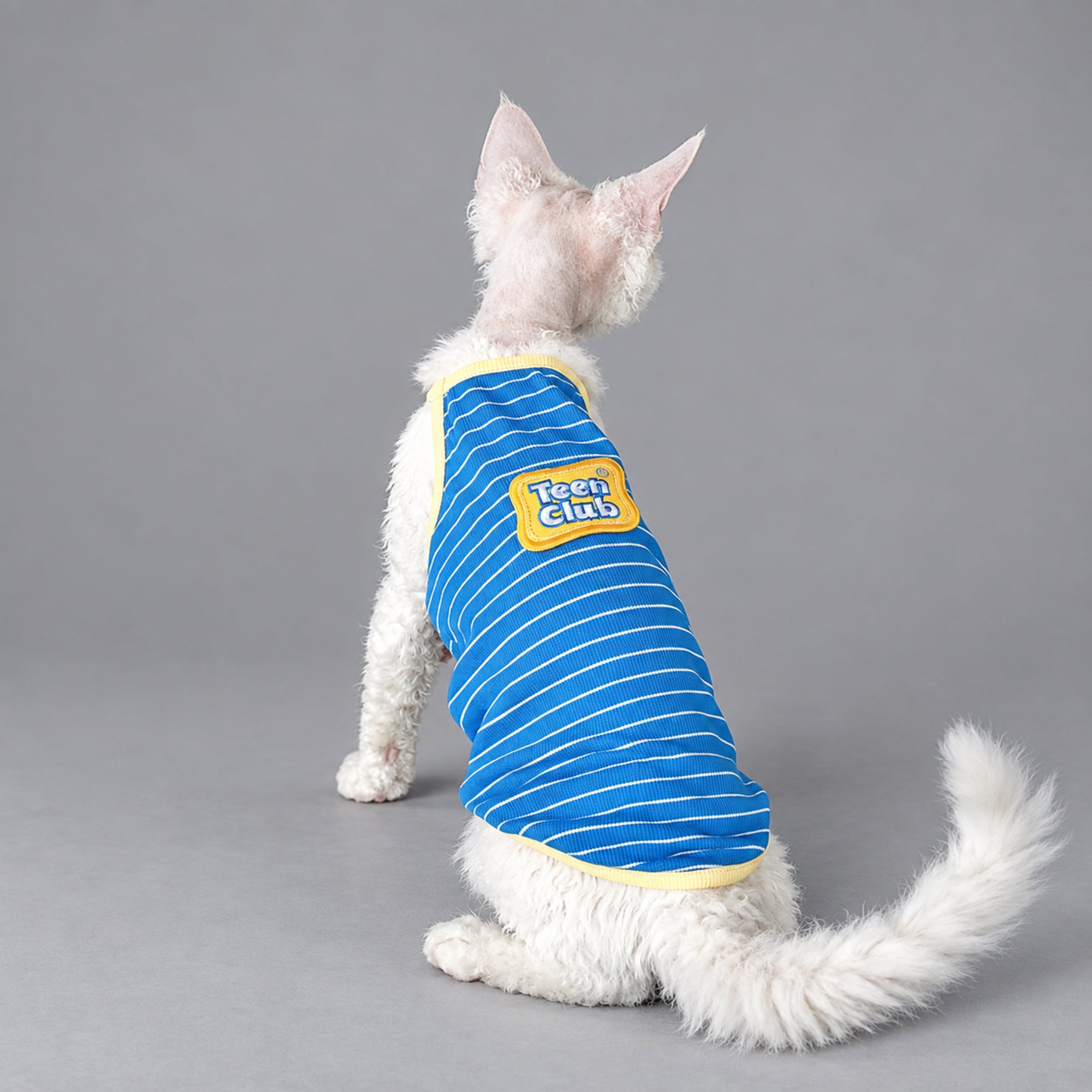 Blue Striped Cotton Cat Shirt