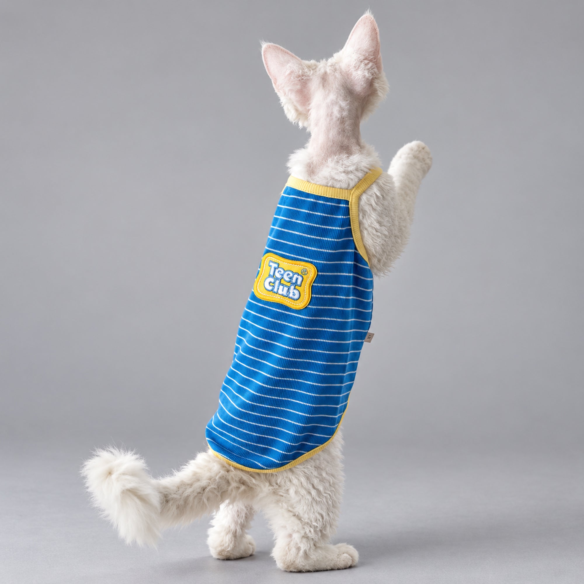 Blue Striped Cotton Cat Shirt