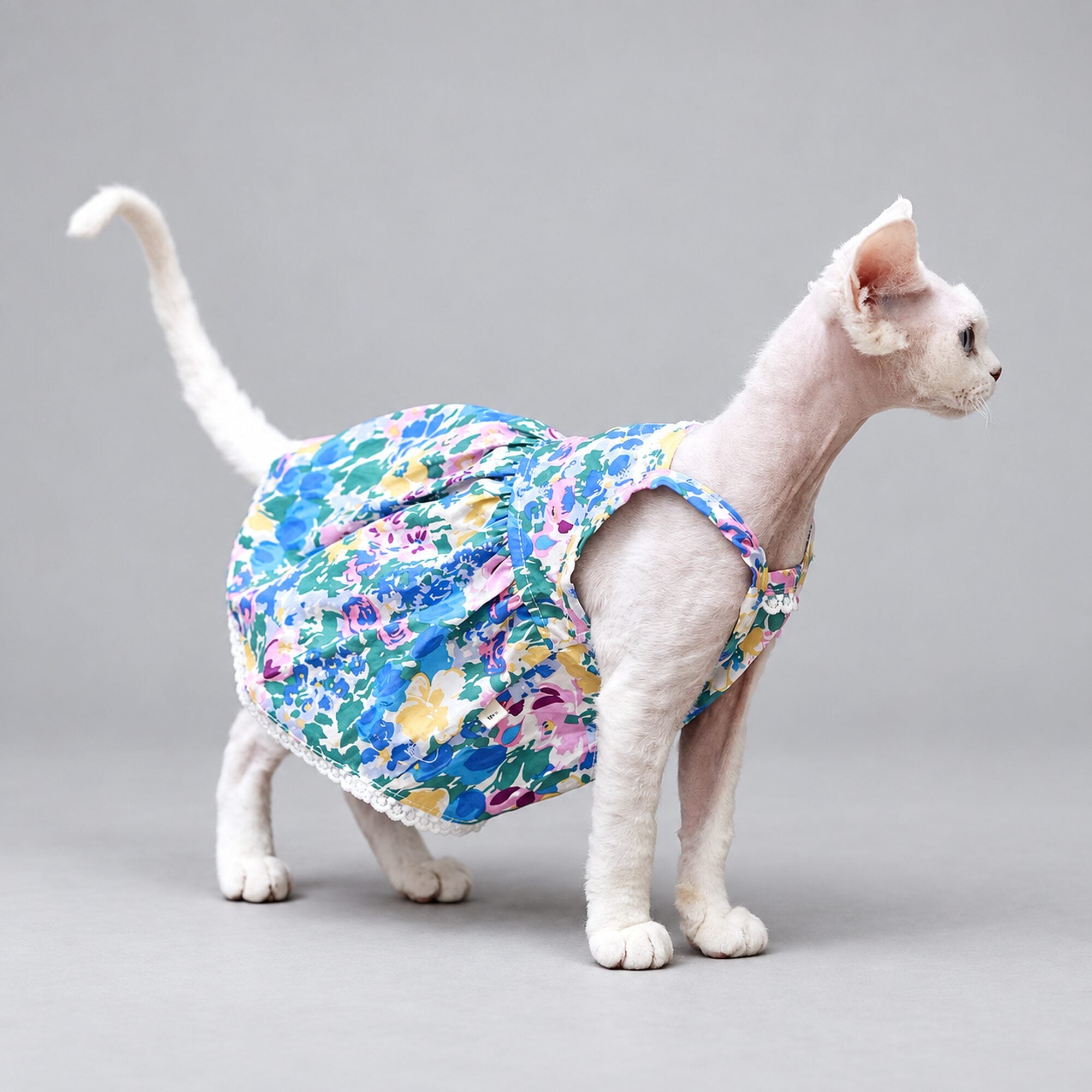 Watercolor Floral Cat Dress
