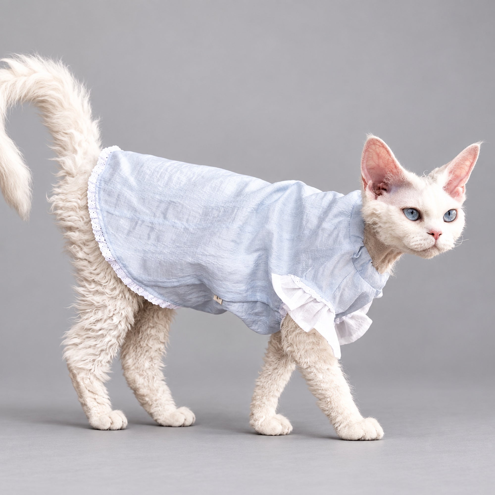 Light Blue Cotton Cat Dress