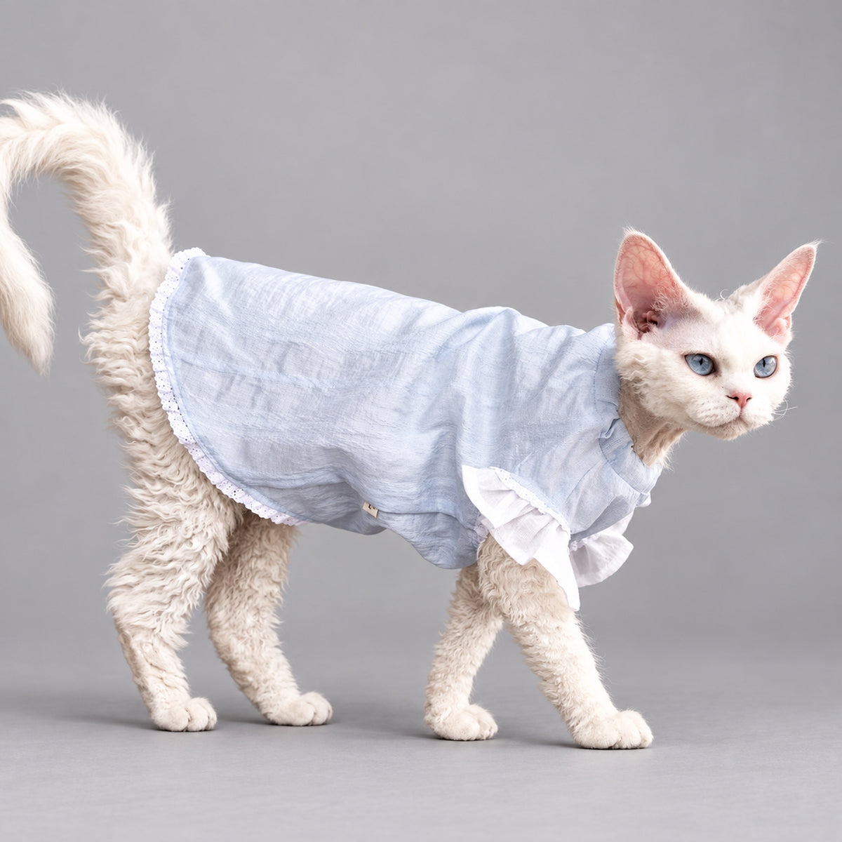 Light Blue Cotton Cat Dress