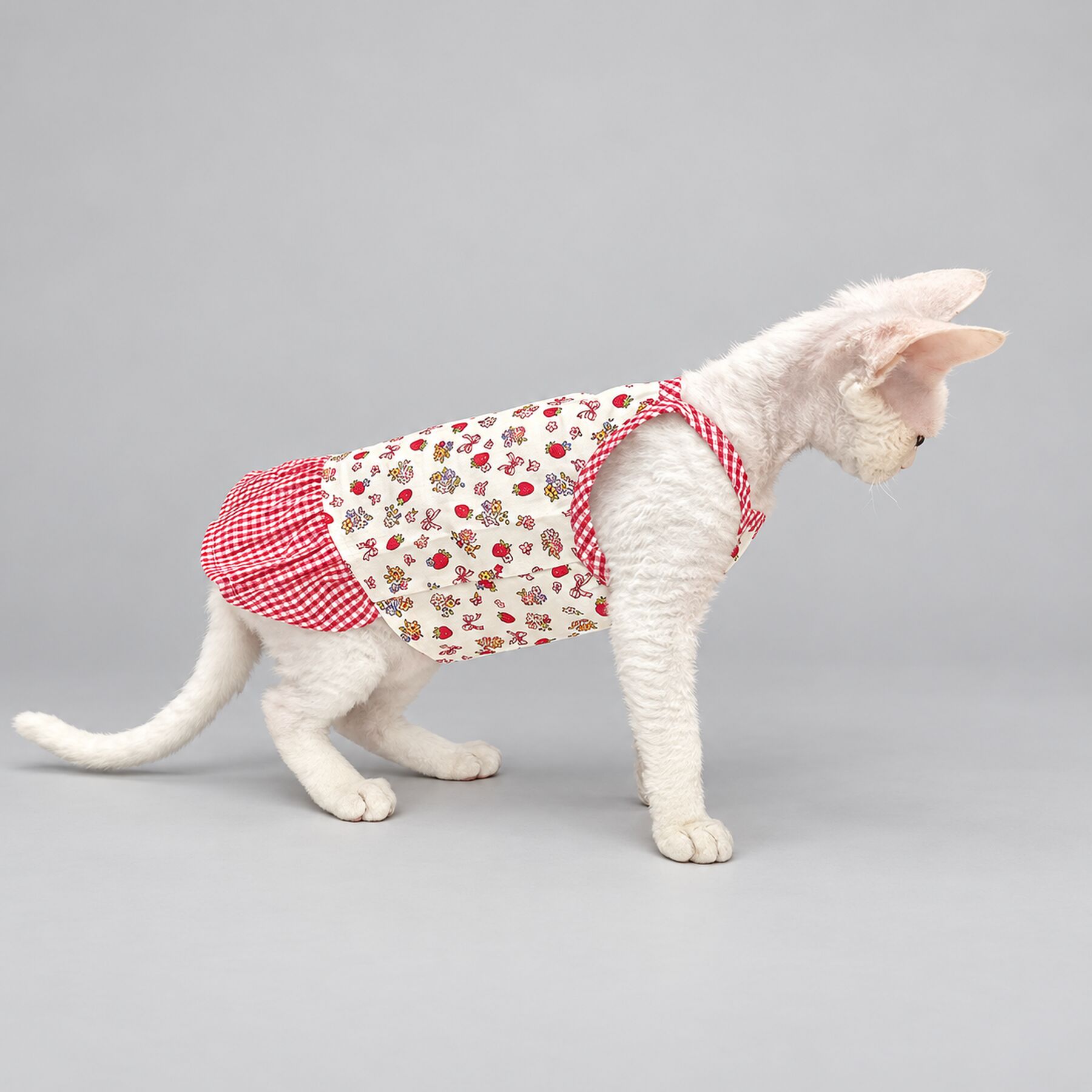 Strawberry Floral Cat Shirt
