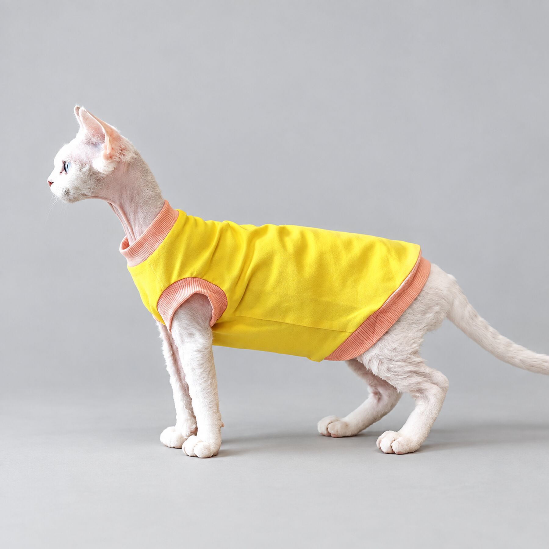 Yellow Stripe Sphynx Cat Shirt