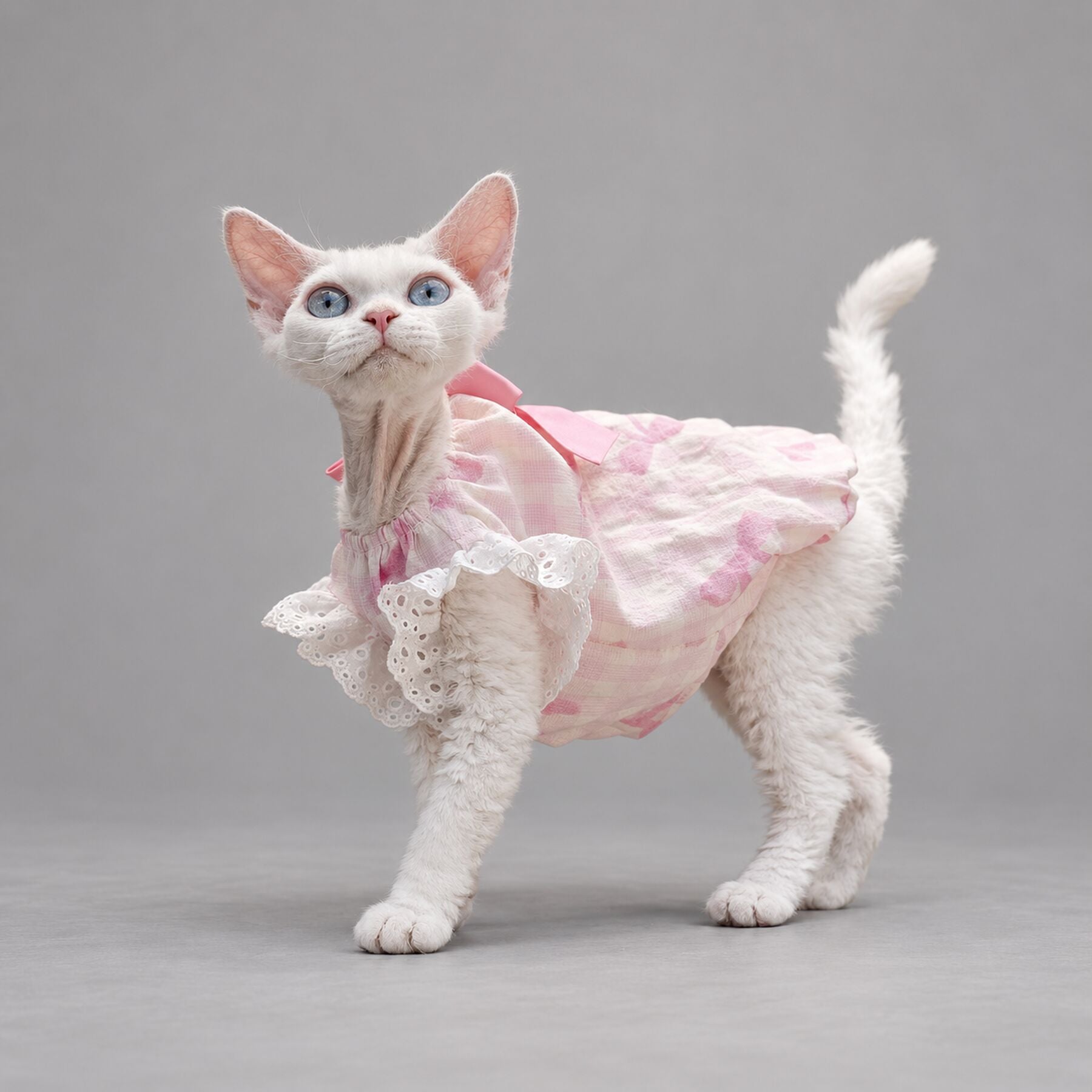 Pink Bow Cat Dress