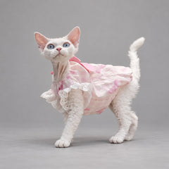 Pink Bow Cat Dress