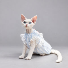 Light Blue Lace Cat Dress