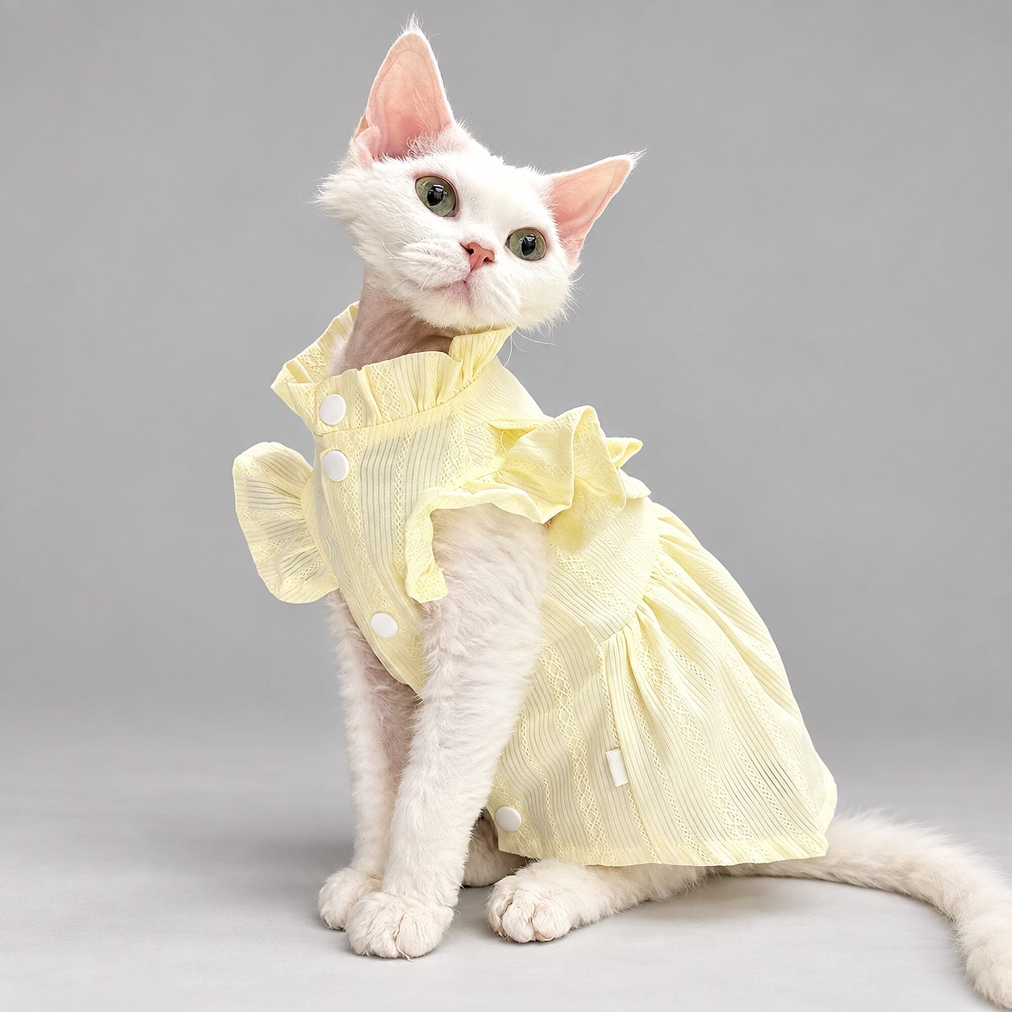 Cream Yellow Ruffle Cat Dress