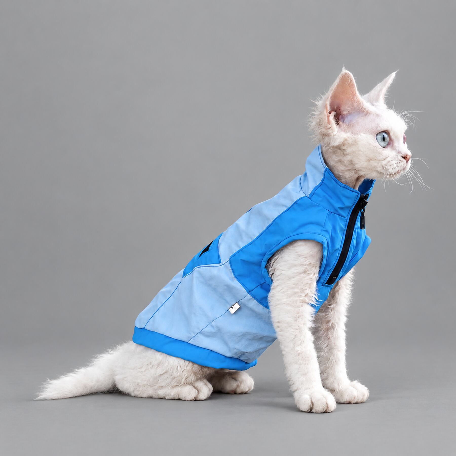 Lightweight Blue Cat Rain Jacket – Outdoor Coat