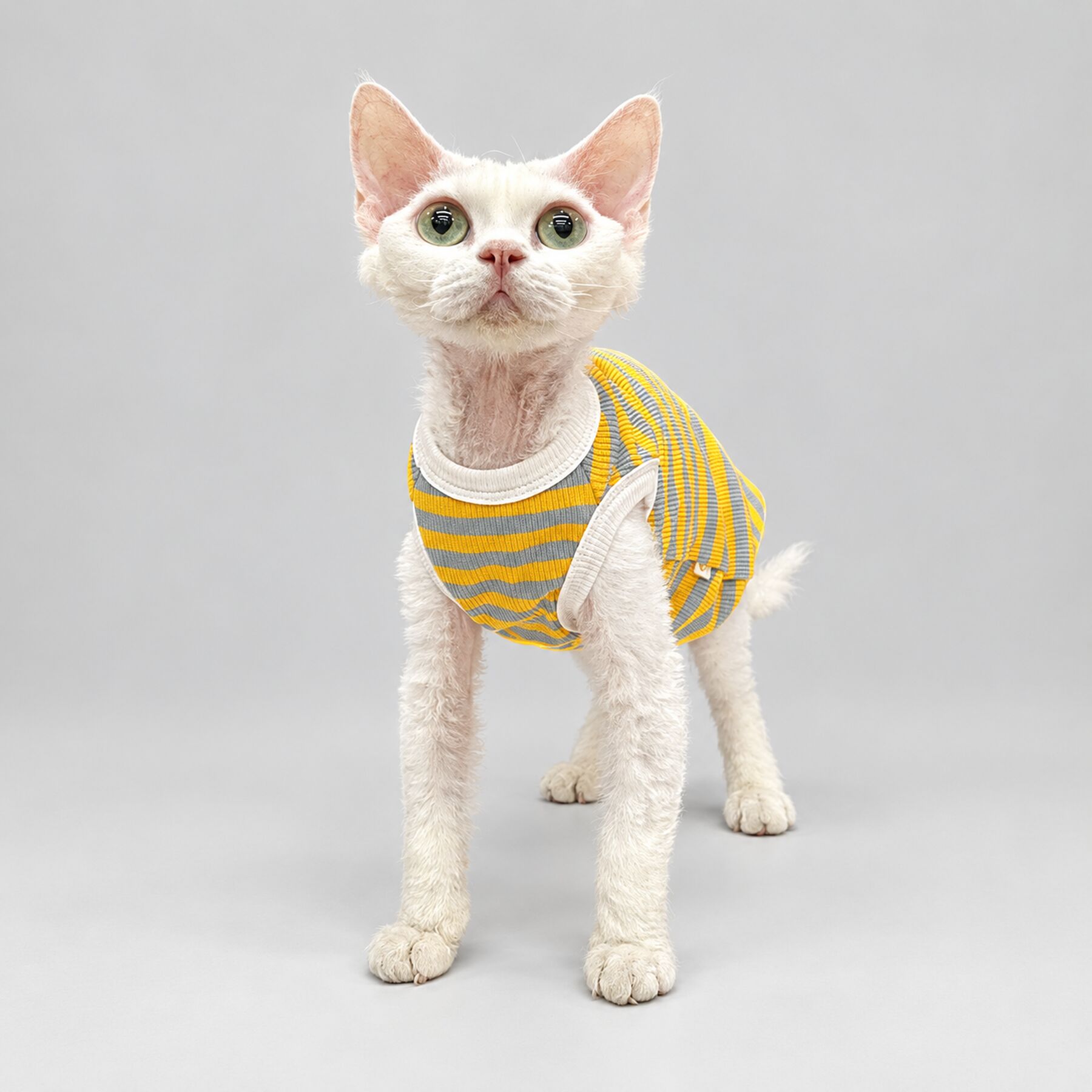Yellow Stripe Sphynx Cat Shirt