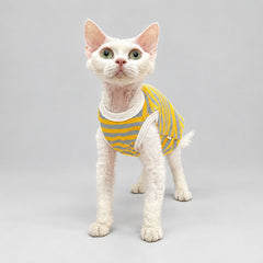 Yellow Stripe Sphynx Cat Shirt
