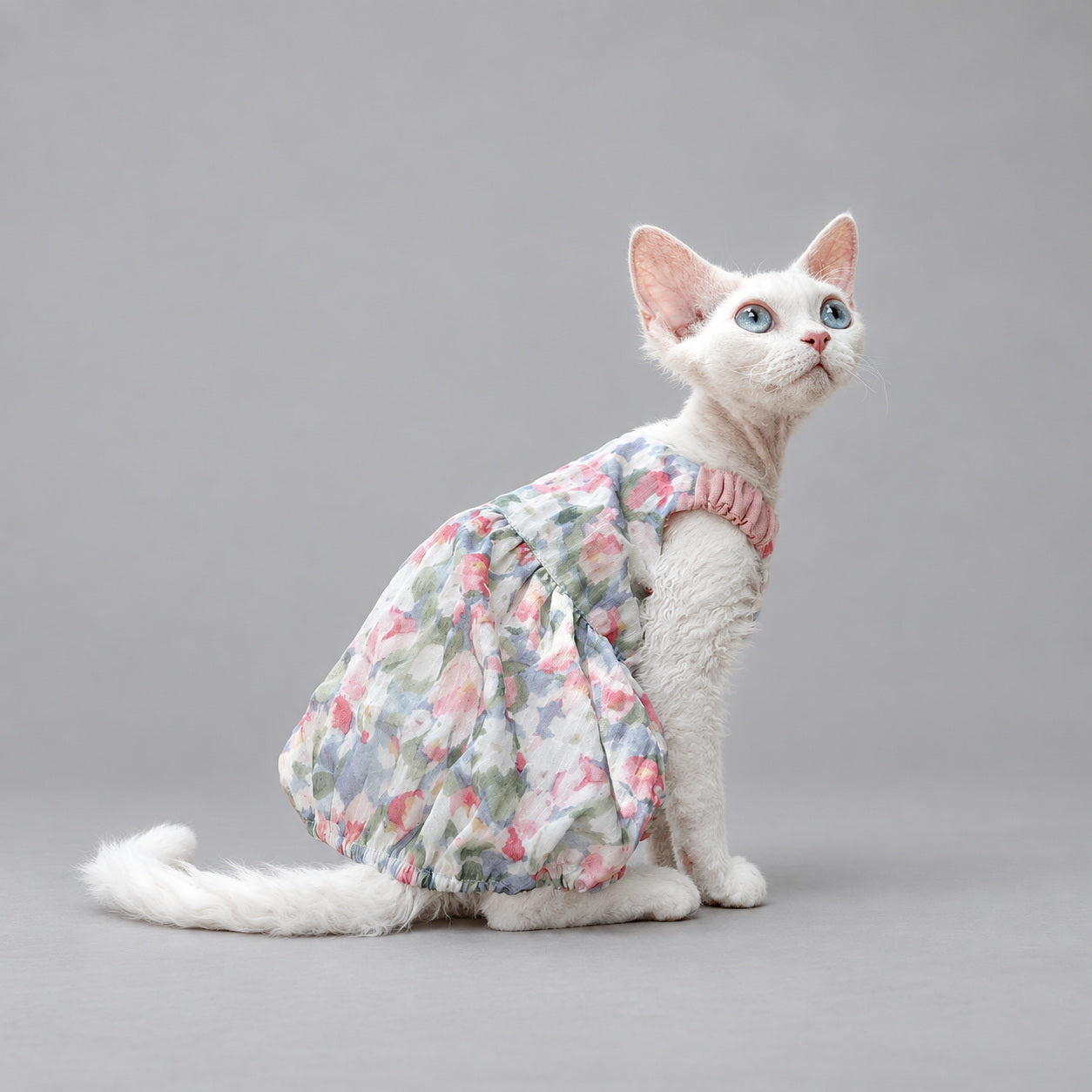 Floral Cotton Cat Dress