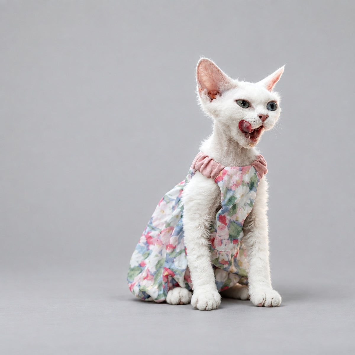 Floral Cotton Cat Dress