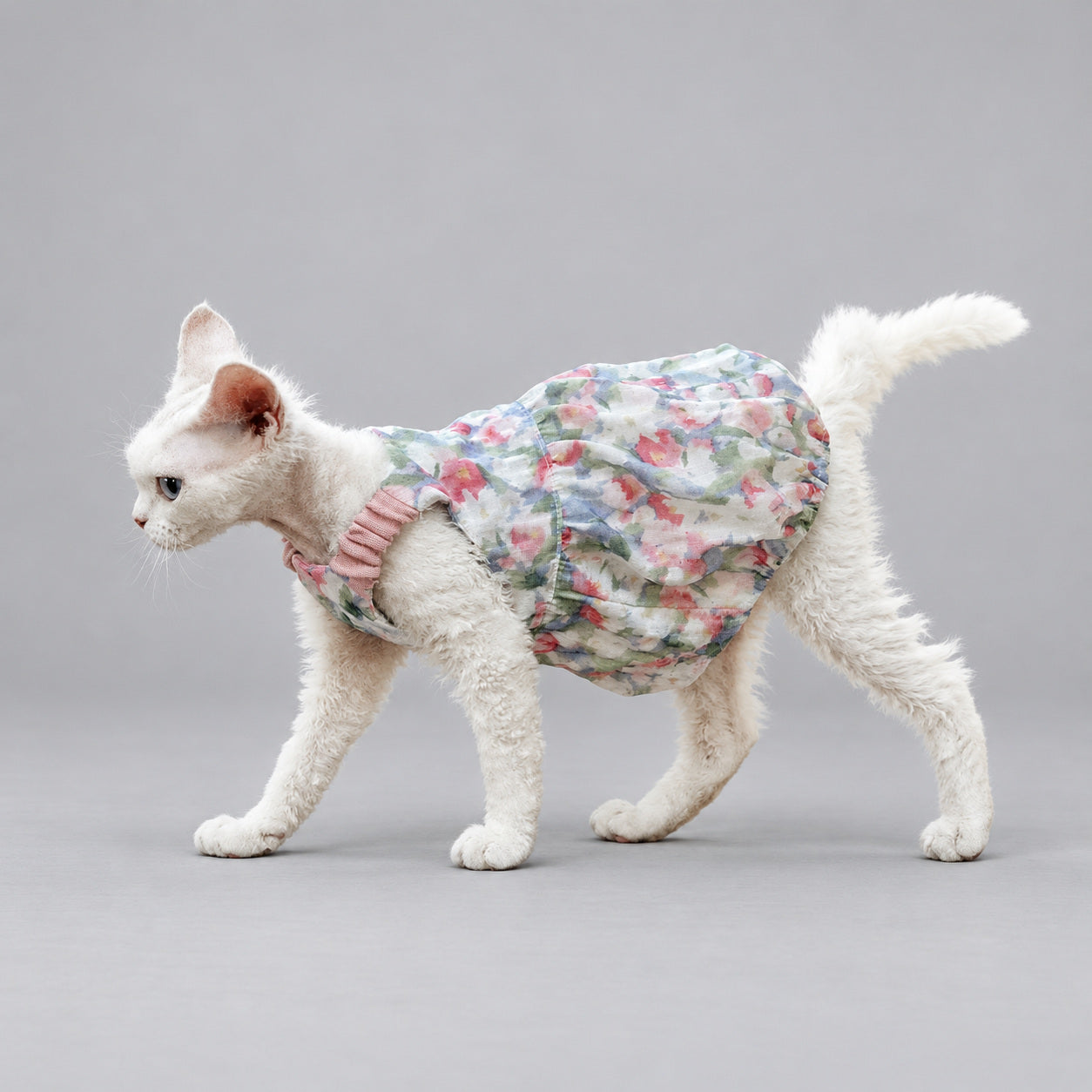 Floral Cotton Cat Dress