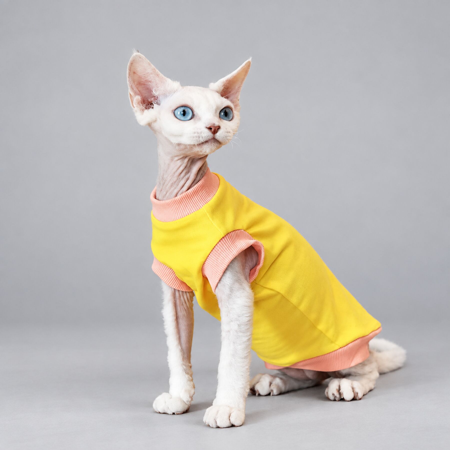 Yellow Stripe Sphynx Cat Shirt