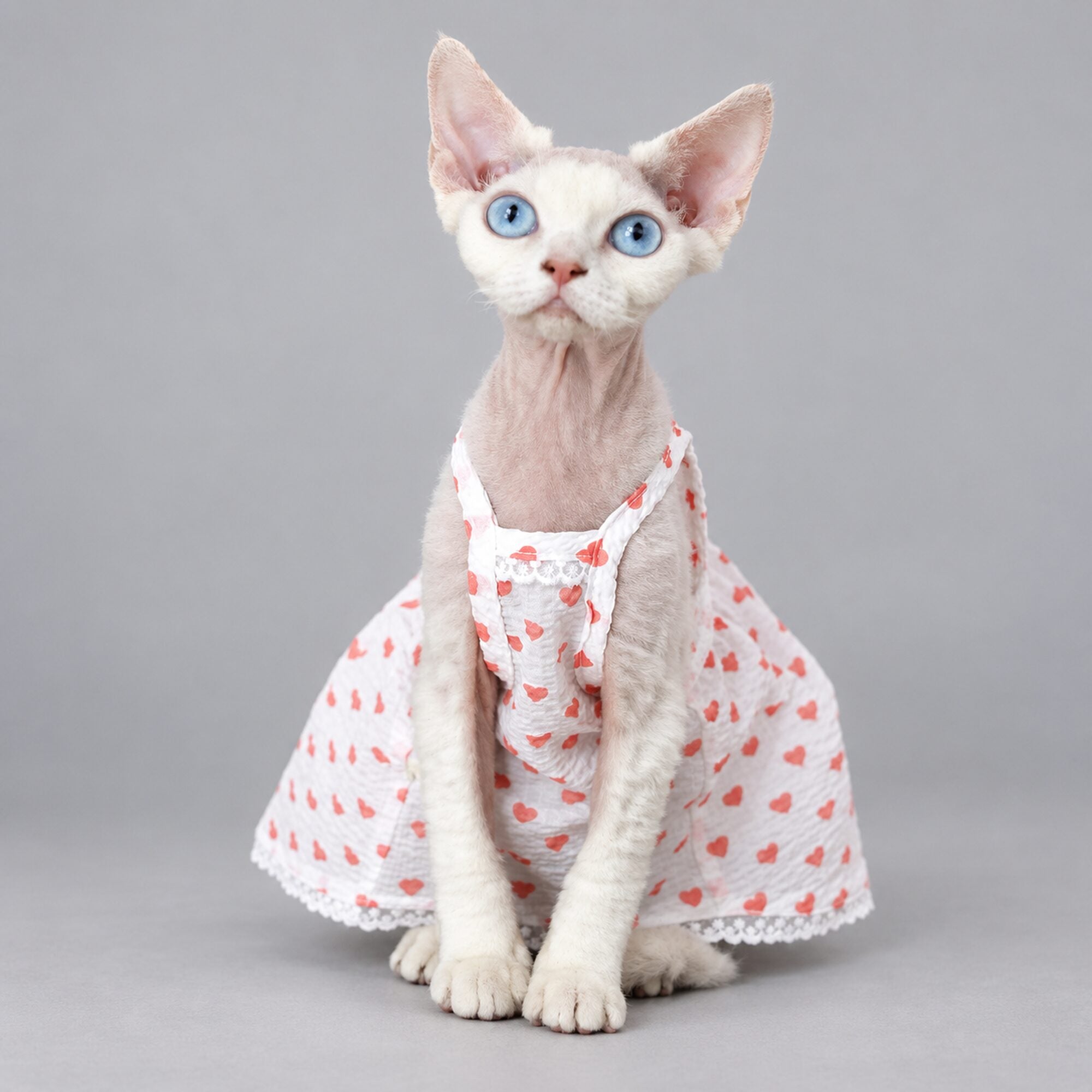 Handmade Pink Heart Cat Dress