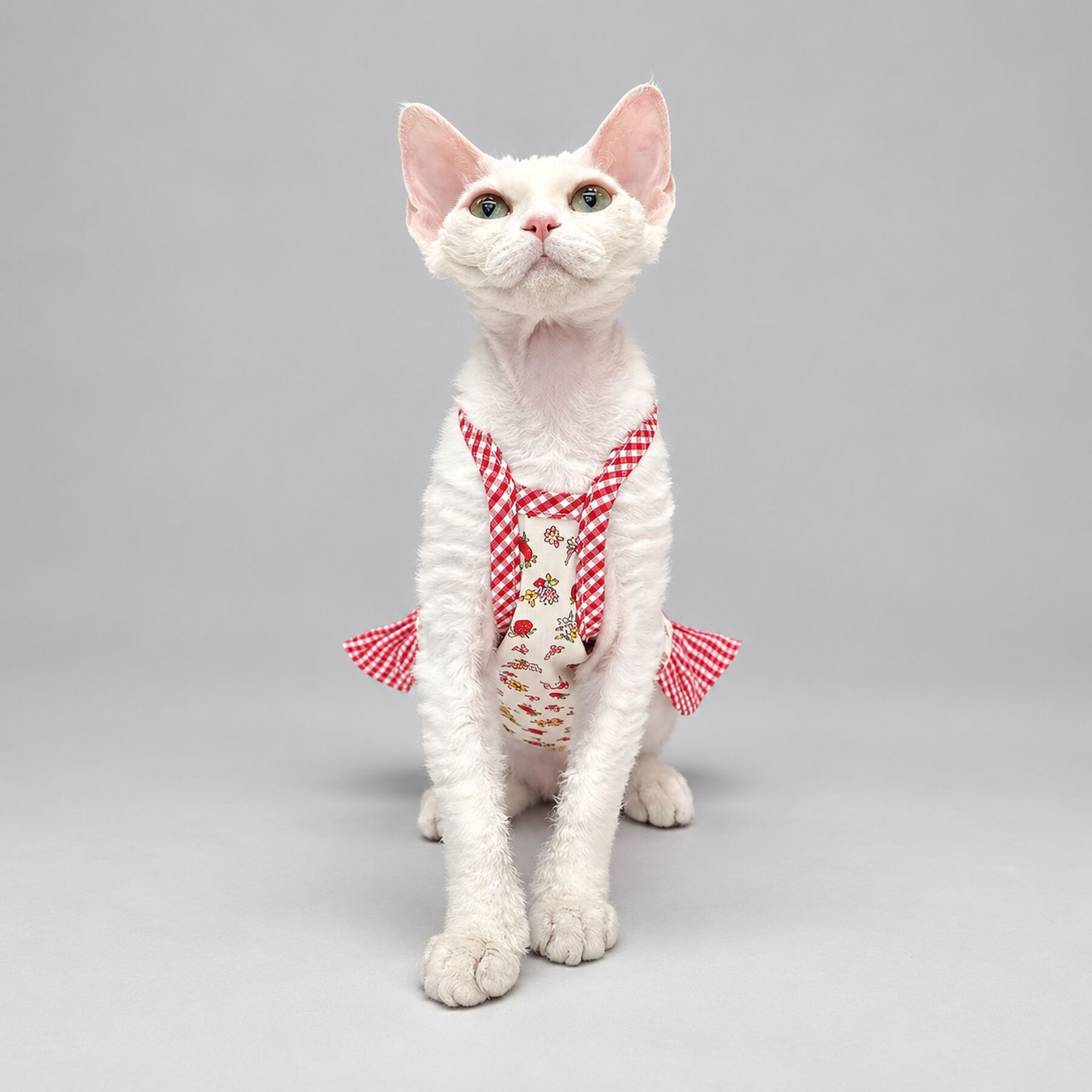 Strawberry Floral Cat Shirt