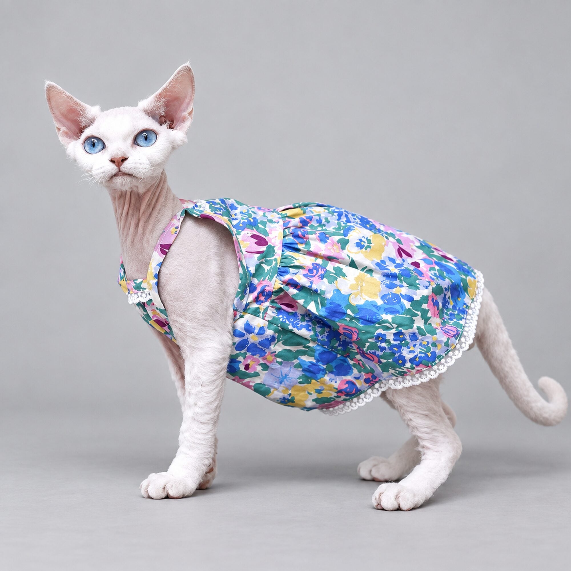 Watercolor Floral Cat Dress
