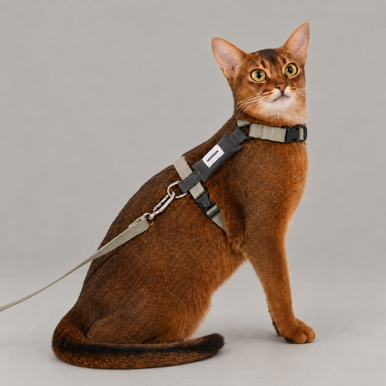 AirLite Colorblock Cat Harness & Leash Set