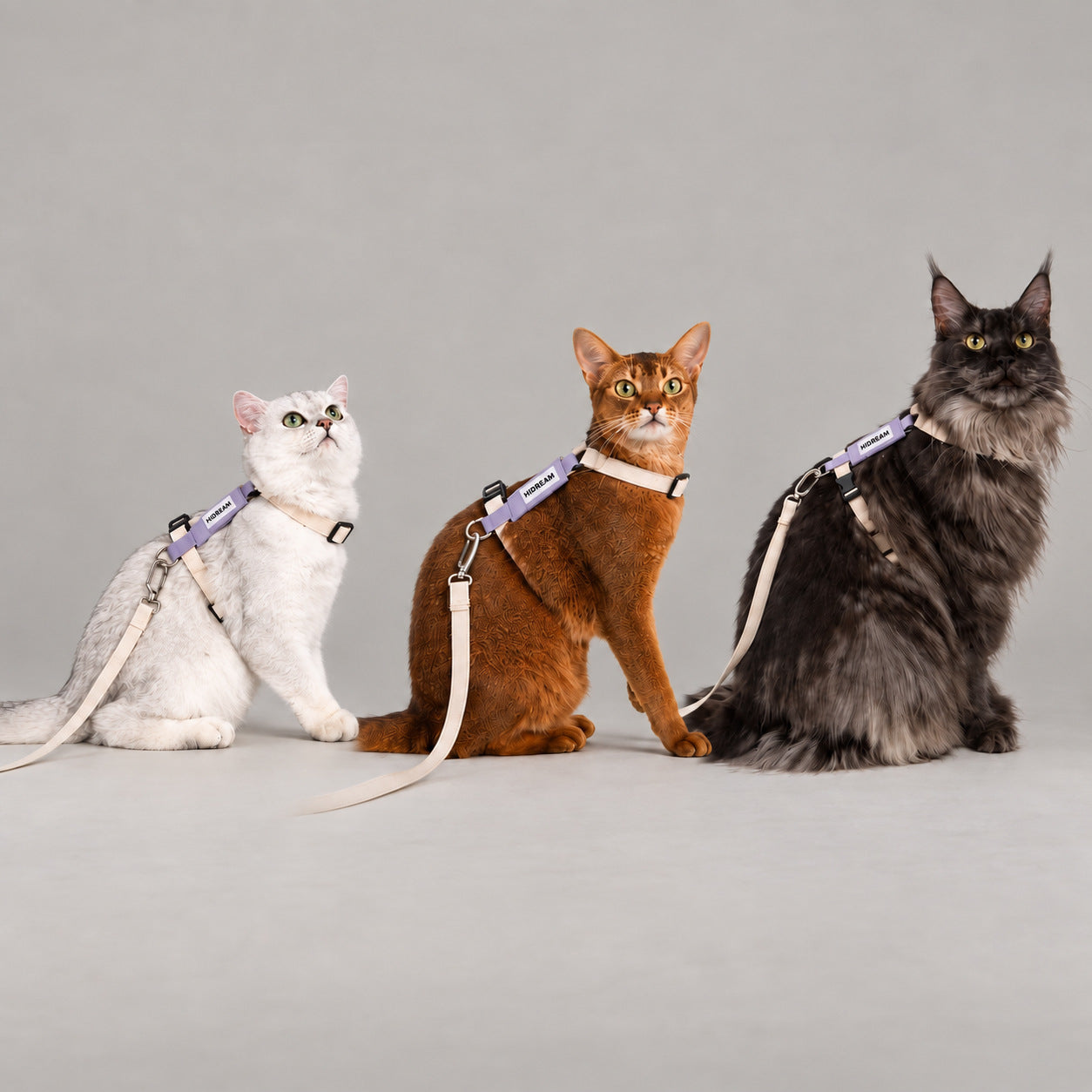 AirLite Colorblock Cat Harness & Leash Set