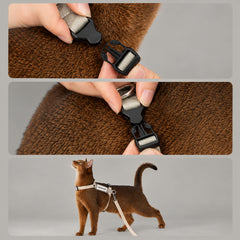 AirLite Colorblock Cat Harness & Leash Set