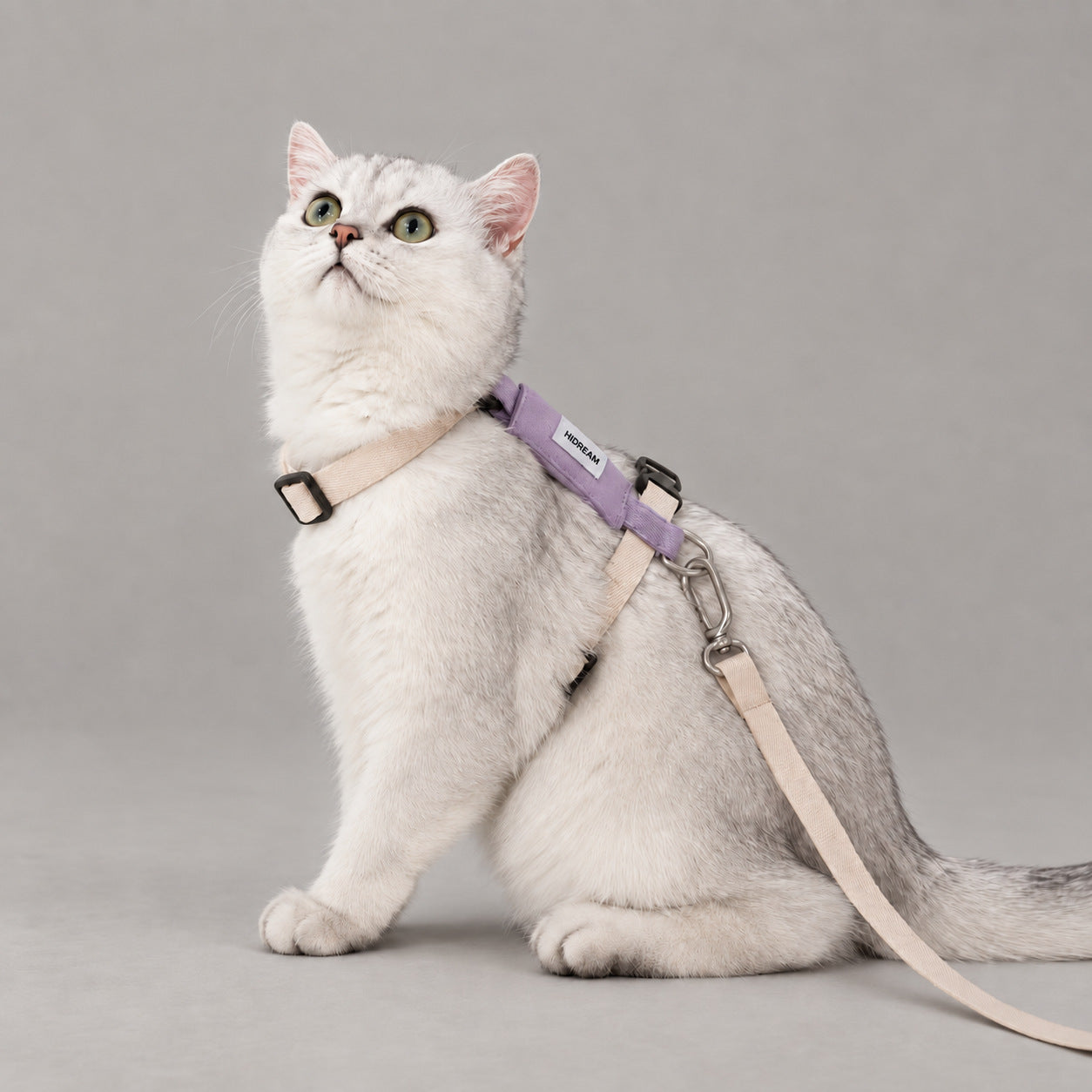 AirLite Colorblock Cat Harness & Leash Set