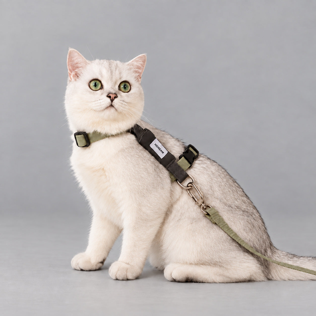 AirLite Colorblock Cat Harness & Leash Set