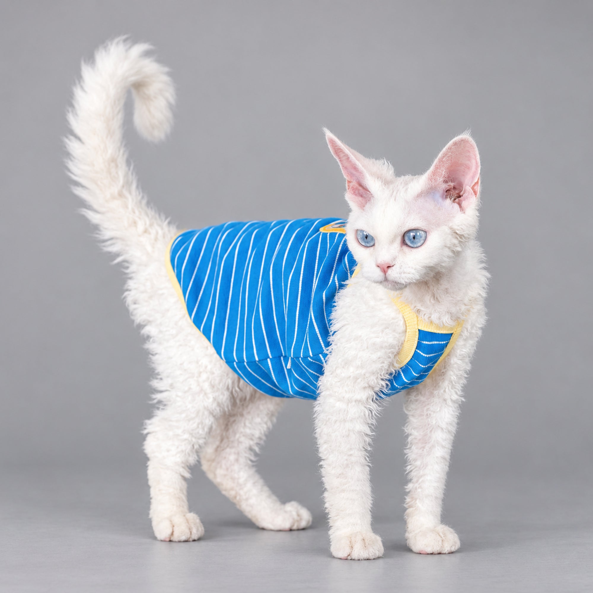 Blue Striped Cotton Cat Shirt