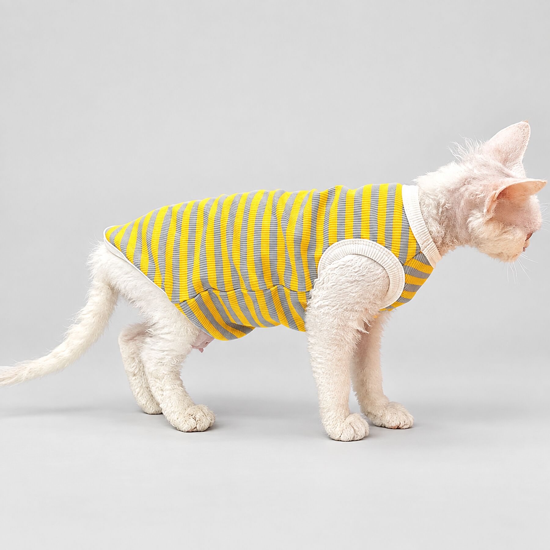 Yellow Stripe Sphynx Cat Shirt