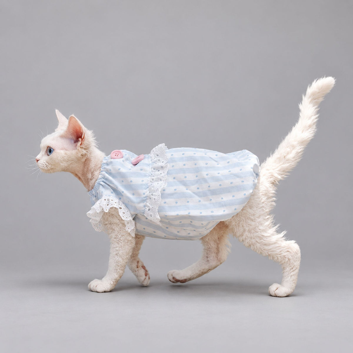 Light Blue Lace Cat Dress