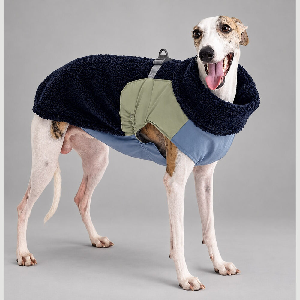 Dog wearing the Deep Navy Alpine colorblock sherpa jacket, standing in side view.