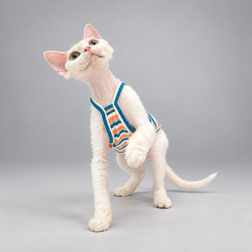 Cat seated in the Apricot Stripe cami with one paw raised.
