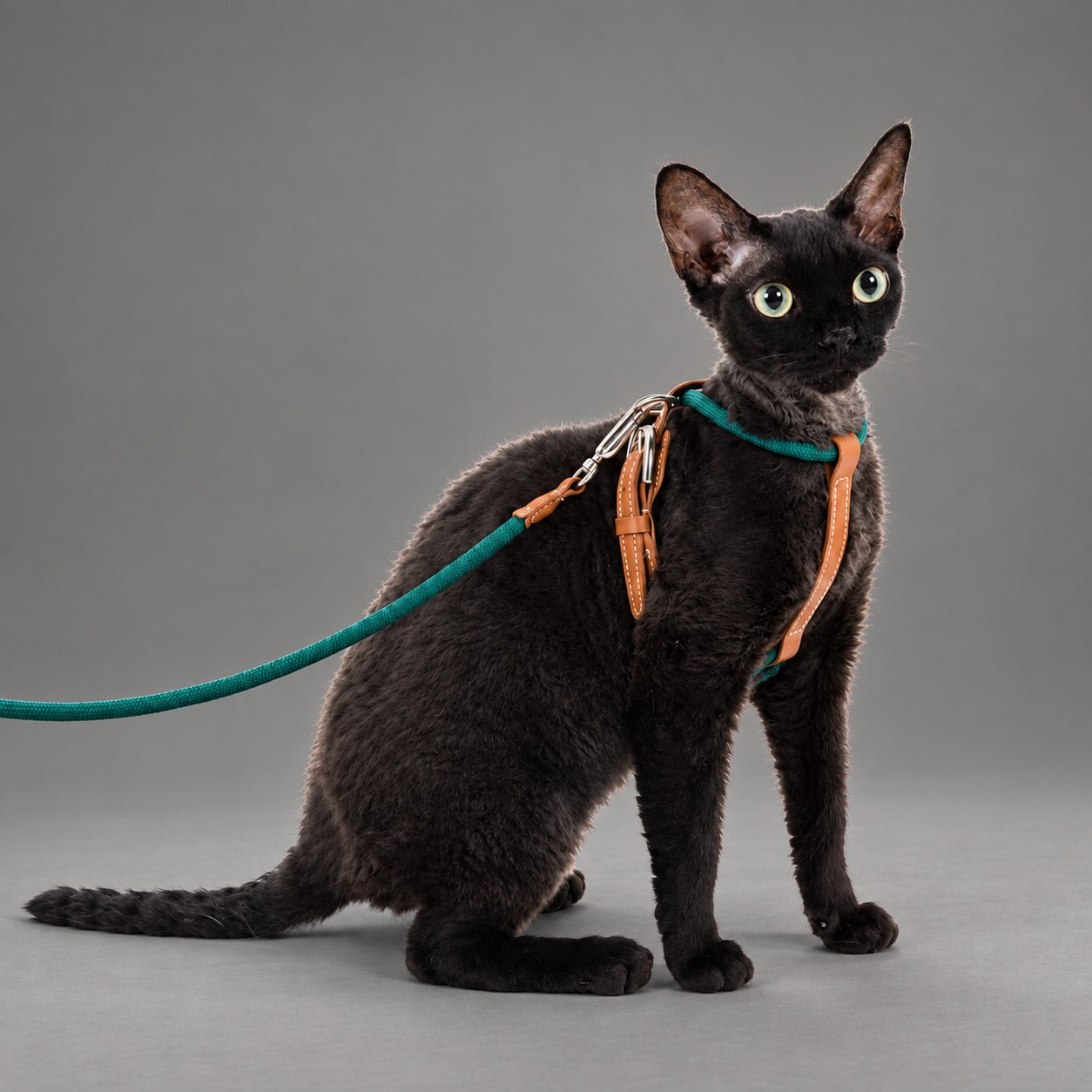 Atelier Rope Cat Harness & Leash Set