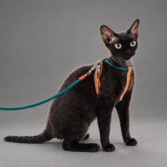 Atelier Rope Cat Harness & Leash Set