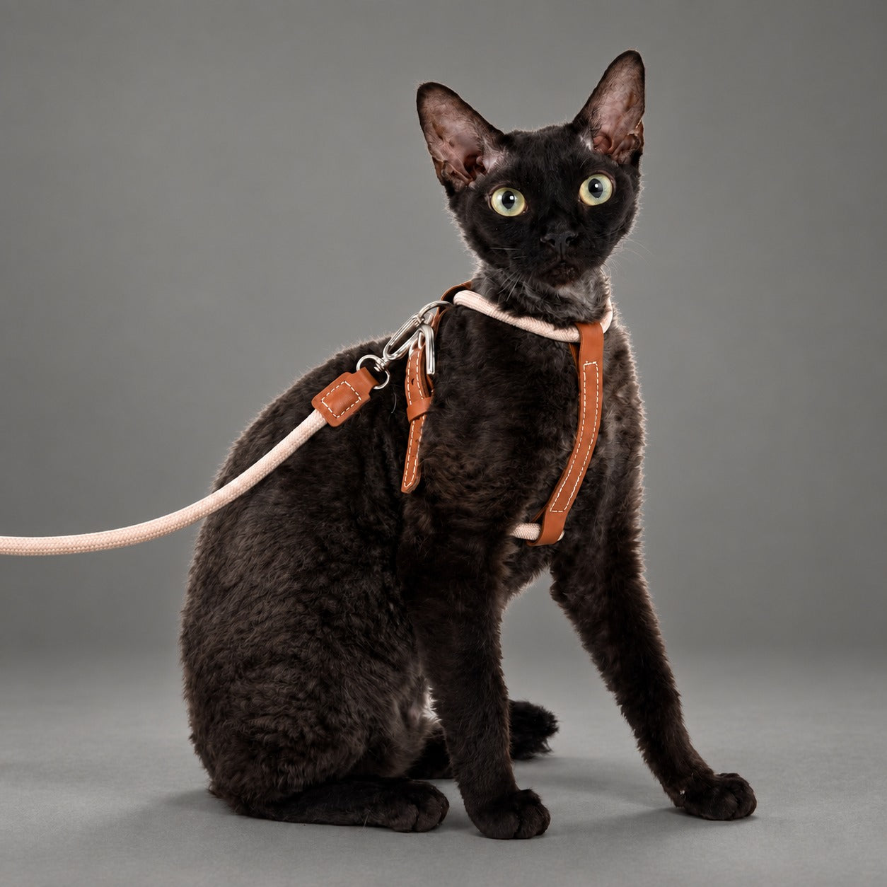 Atelier Rope Cat Harness & Leash Set