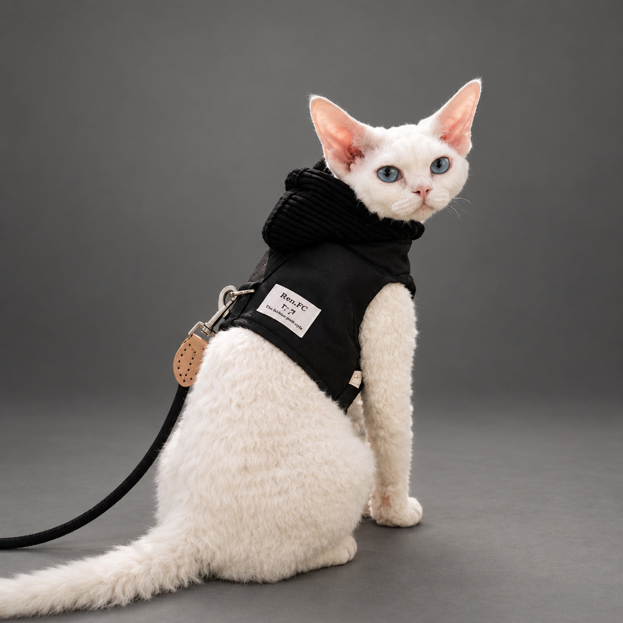 Sphynx-Katzengeschirr und Leinen-Set, hautfreundliches Denim-Westengeschirr für haarlose Katzen, leicht anzuziehendes Hoodie-Katzengeschirr mit integrierter Leine