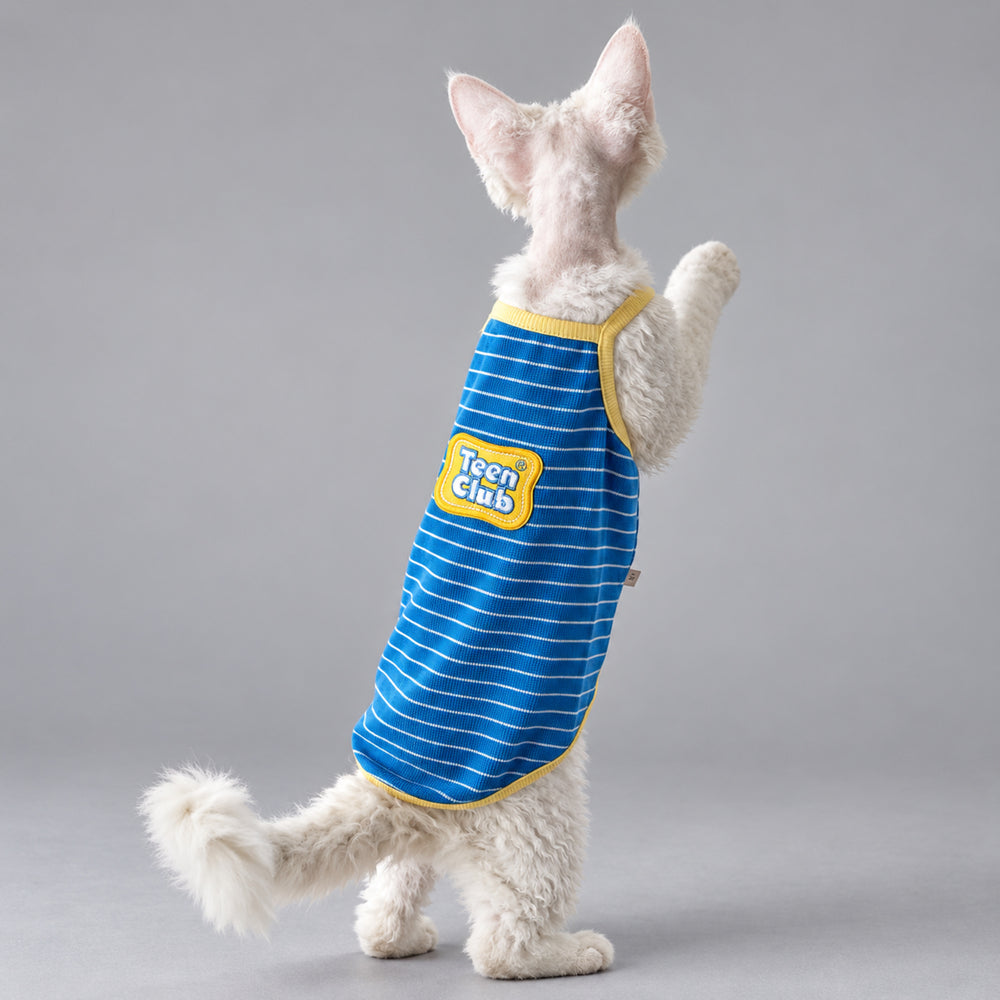 Cat wearing the Blue & Butter tank, standing on its hind legs.