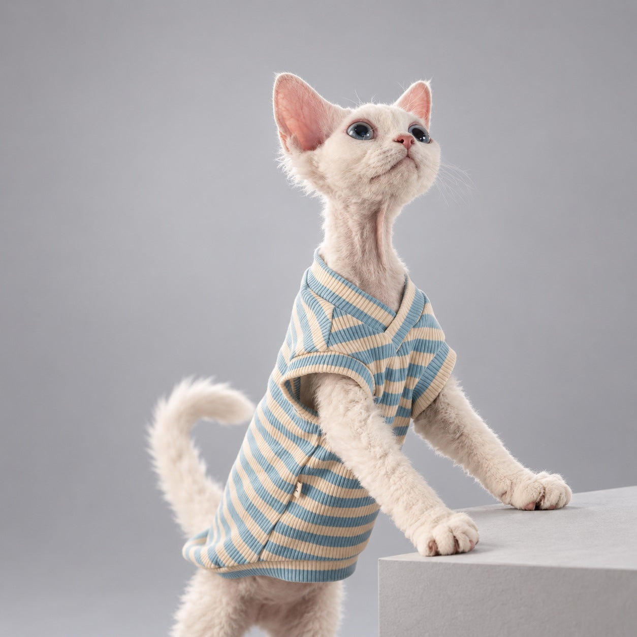 Blue Stripe V-Neck Cat Vest